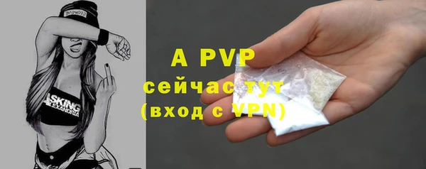 дмт Лабытнанги