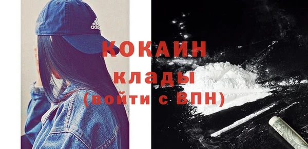 дмт Лабытнанги