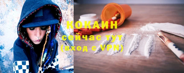 дмт Лабытнанги